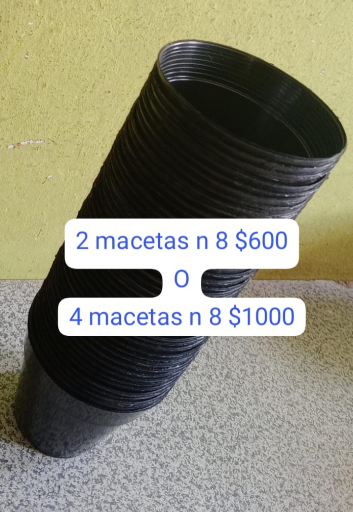 Macetas 